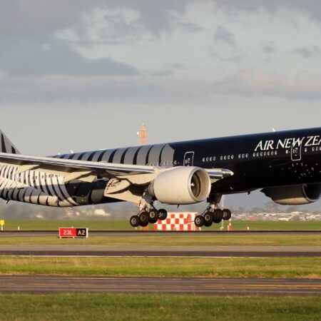 Air New Zealand Launches Magical Christmas Campaign